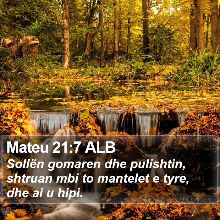 Mateu 21:7 ALB Bible Study