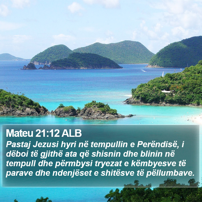 Mateu 21:12 ALB Bible Study