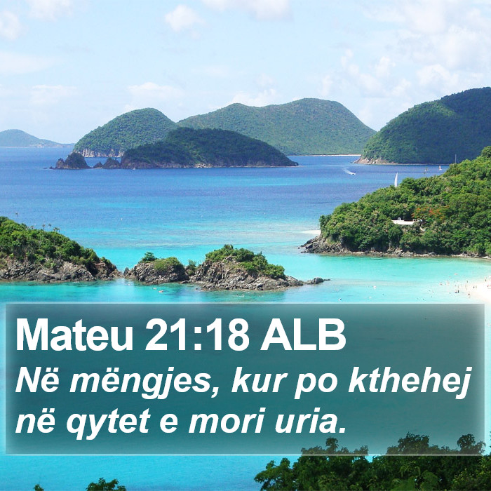 Mateu 21:18 ALB Bible Study