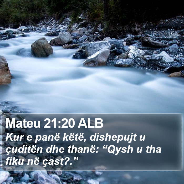 Mateu 21:20 ALB Bible Study