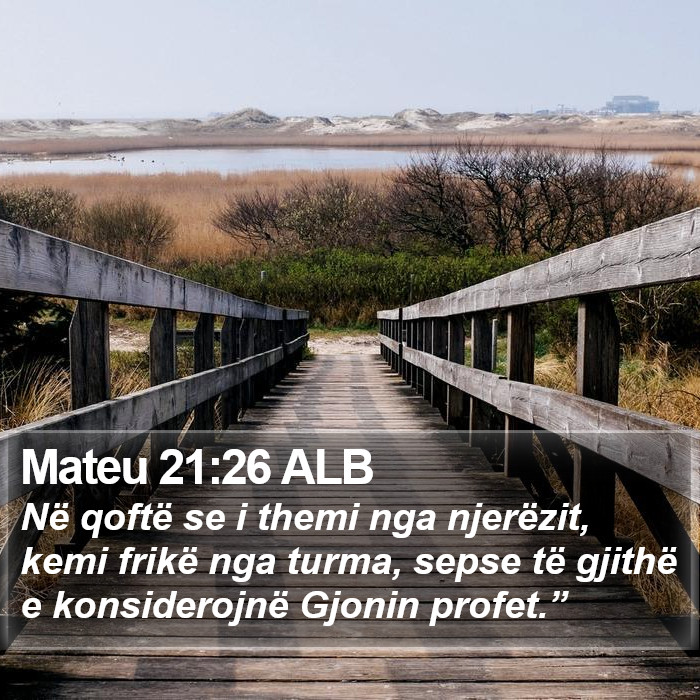 Mateu 21:26 ALB Bible Study