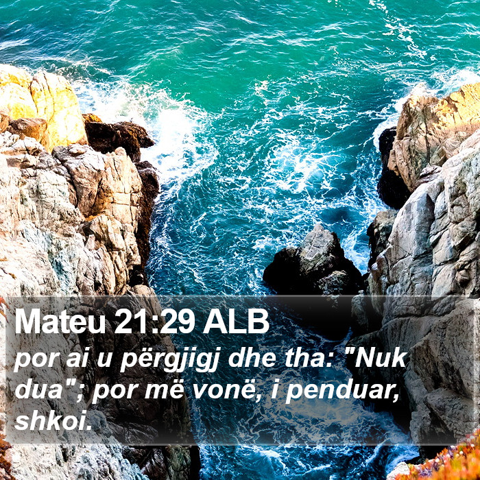 Mateu 21:29 ALB Bible Study