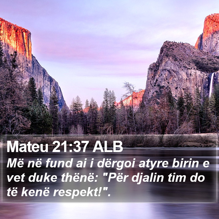 Mateu 21:37 ALB Bible Study