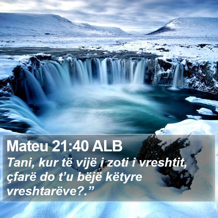 Mateu 21:40 ALB Bible Study