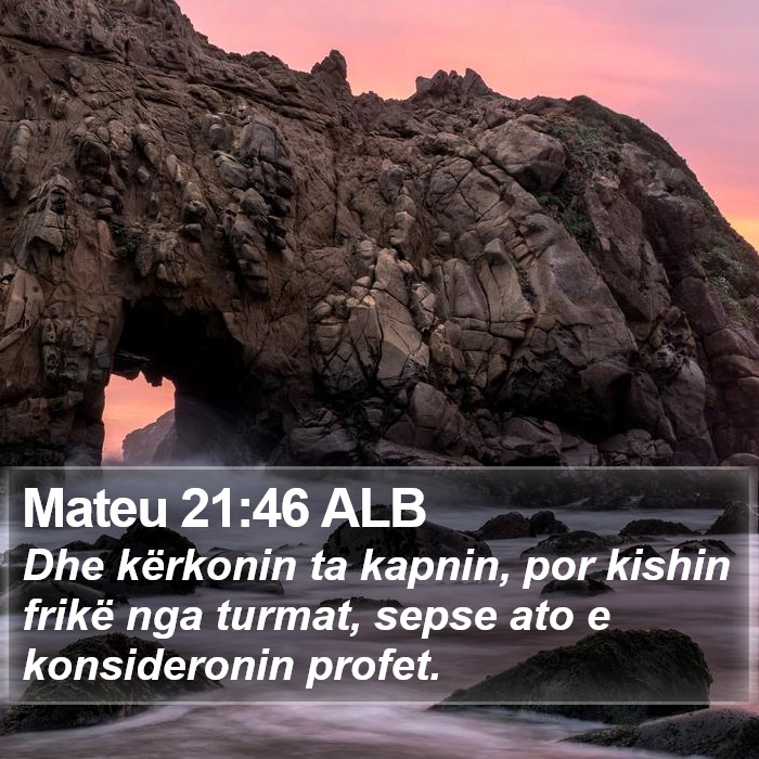 Mateu 21:46 ALB Bible Study