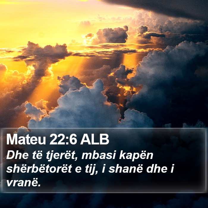 Mateu 22:6 ALB Bible Study