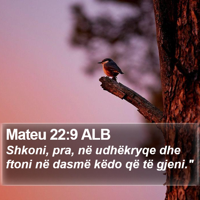 Mateu 22:9 ALB Bible Study