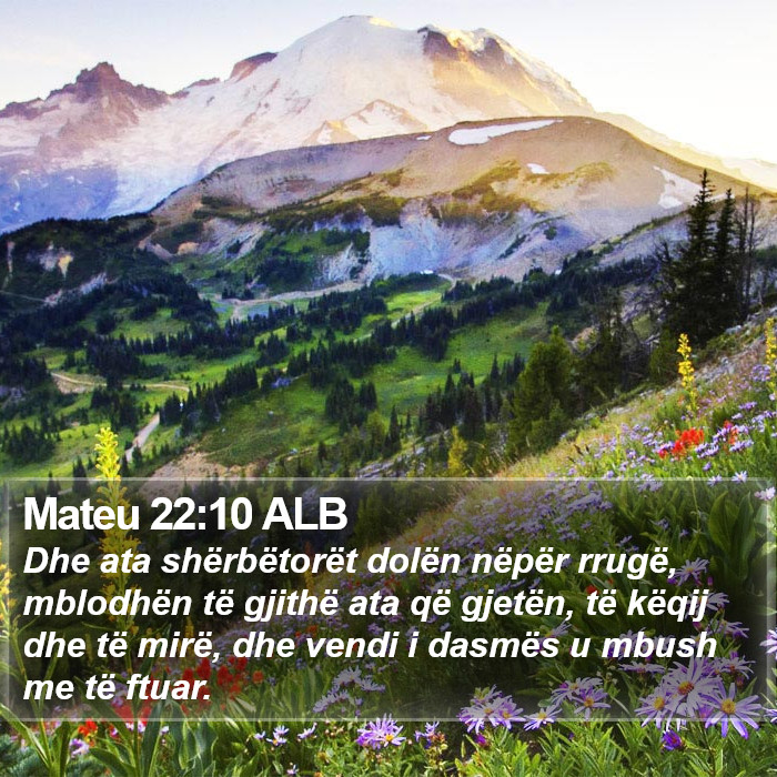 Mateu 22:10 ALB Bible Study