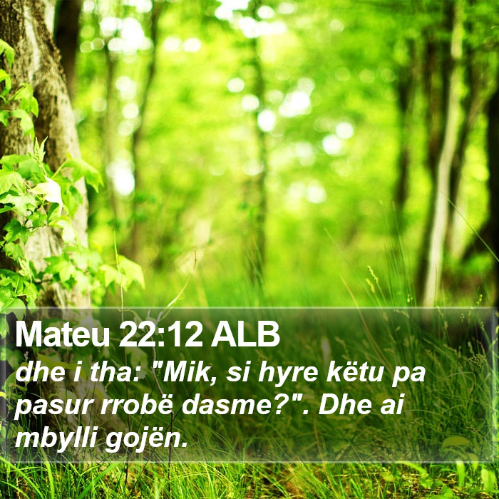 Mateu 22:12 ALB Bible Study