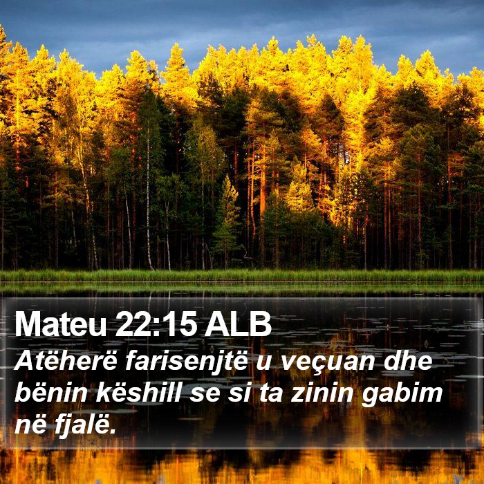 Mateu 22:15 ALB Bible Study