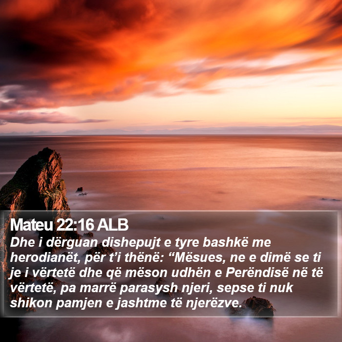 Mateu 22:16 ALB Bible Study