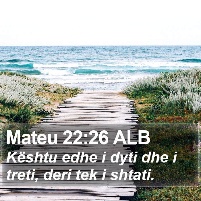 Mateu 22:26 ALB Bible Study