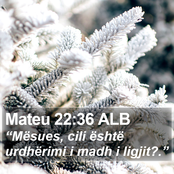 Mateu 22:36 ALB Bible Study