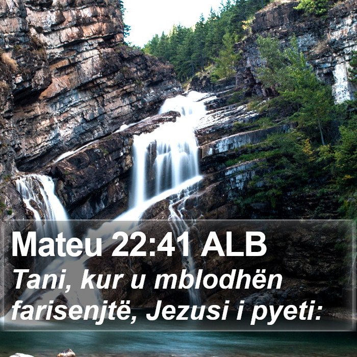 Mateu 22:41 ALB Bible Study