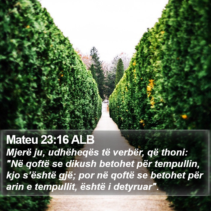 Mateu 23:16 ALB Bible Study