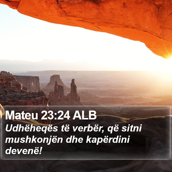 Mateu 23:24 ALB Bible Study