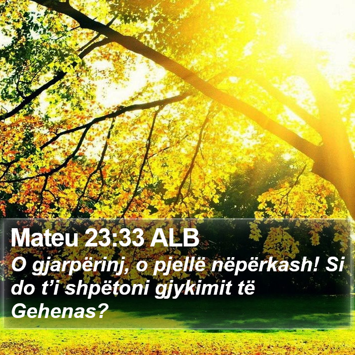 Mateu 23:33 ALB Bible Study