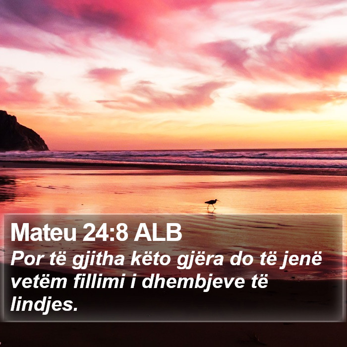 Mateu 24:8 ALB Bible Study