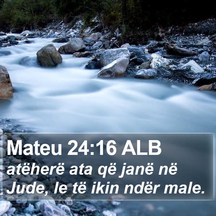 Mateu 24:16 ALB Bible Study