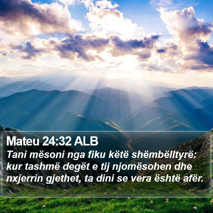 Mateu 24:32 ALB Bible Study