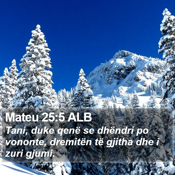 Mateu 25:5 ALB Bible Study