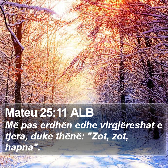 Mateu 25:11 ALB Bible Study