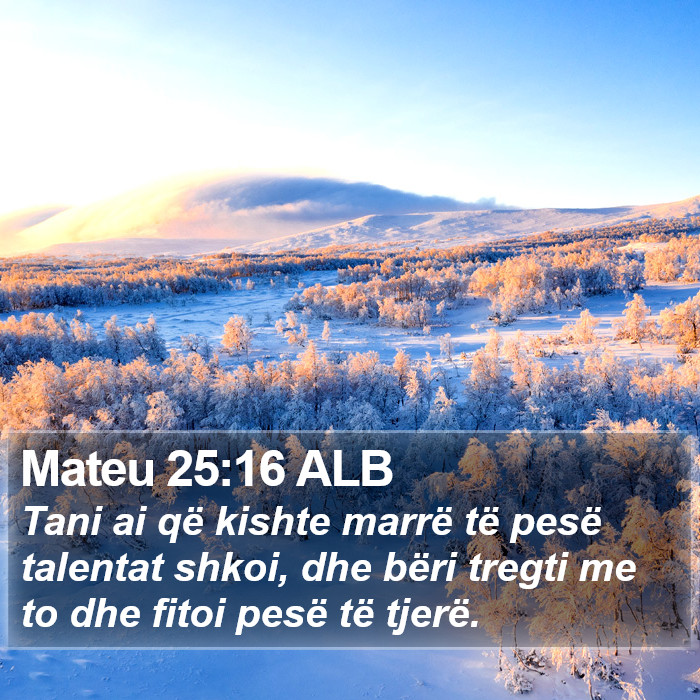 Mateu 25:16 ALB Bible Study