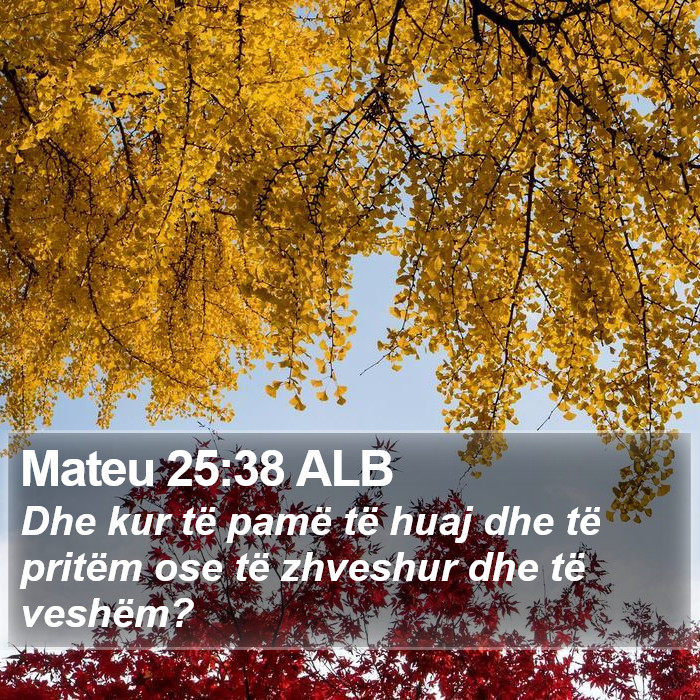 Mateu 25:38 ALB Bible Study
