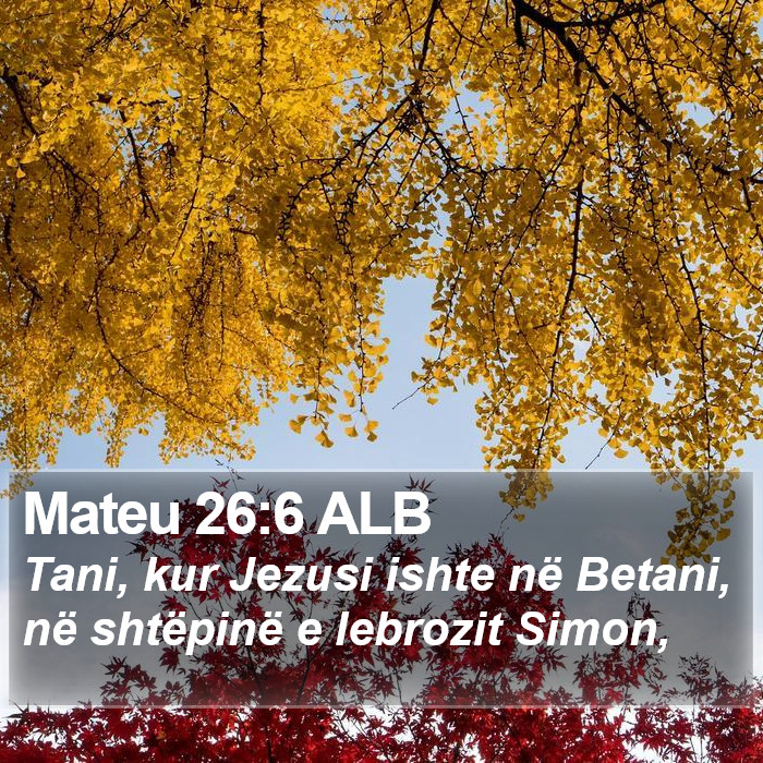 Mateu 26:6 ALB Bible Study