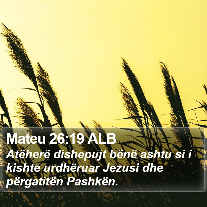 Mateu 26:19 ALB Bible Study