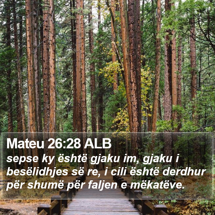 Mateu 26:28 ALB Bible Study