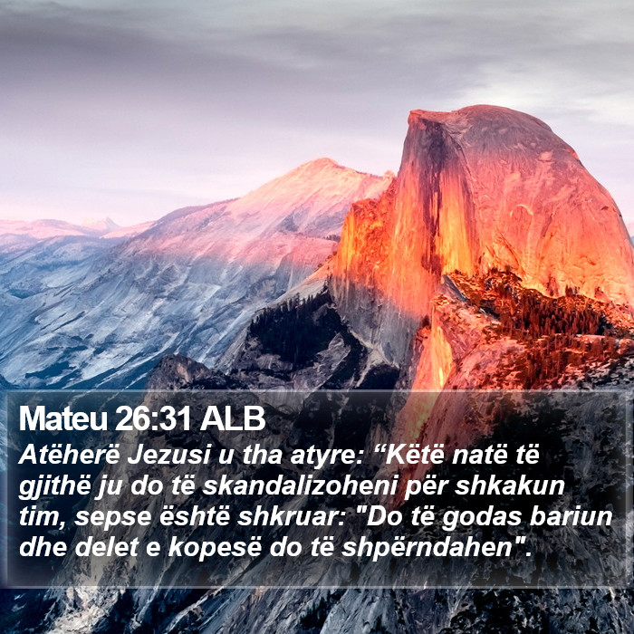 Mateu 26:31 ALB Bible Study