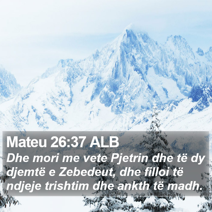 Mateu 26:37 ALB Bible Study