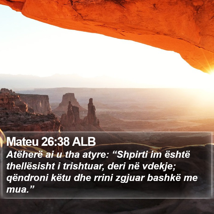 Mateu 26:38 ALB Bible Study