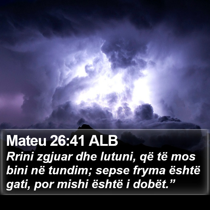 Mateu 26:41 ALB Bible Study