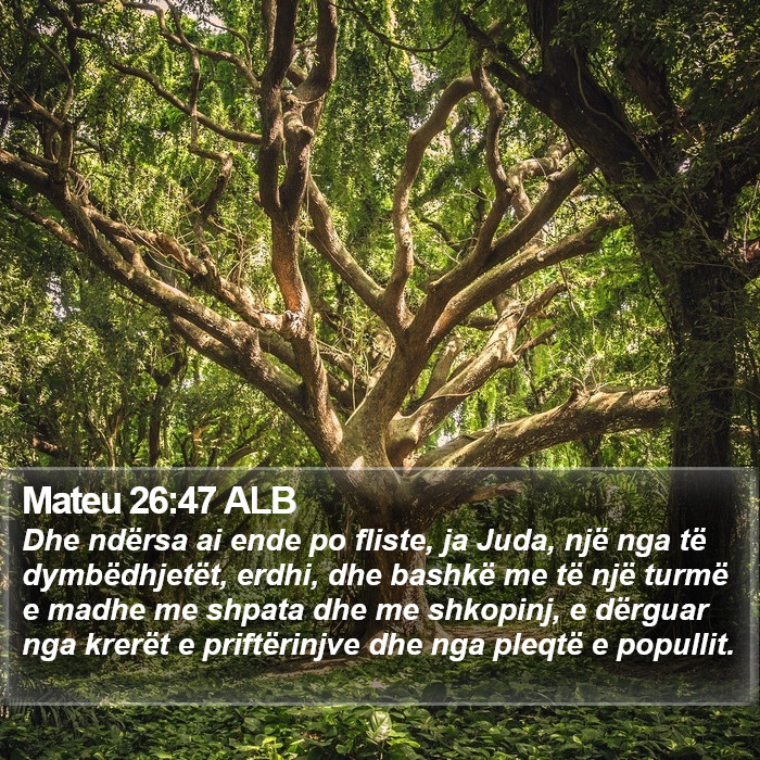 Mateu 26:47 ALB Bible Study