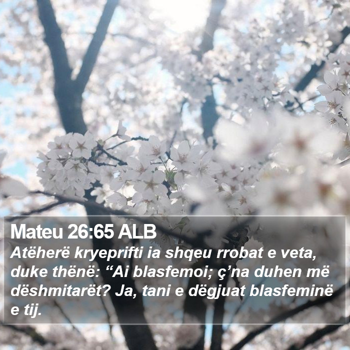 Mateu 26:65 ALB Bible Study