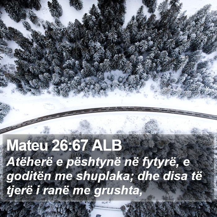 Mateu 26:67 ALB Bible Study