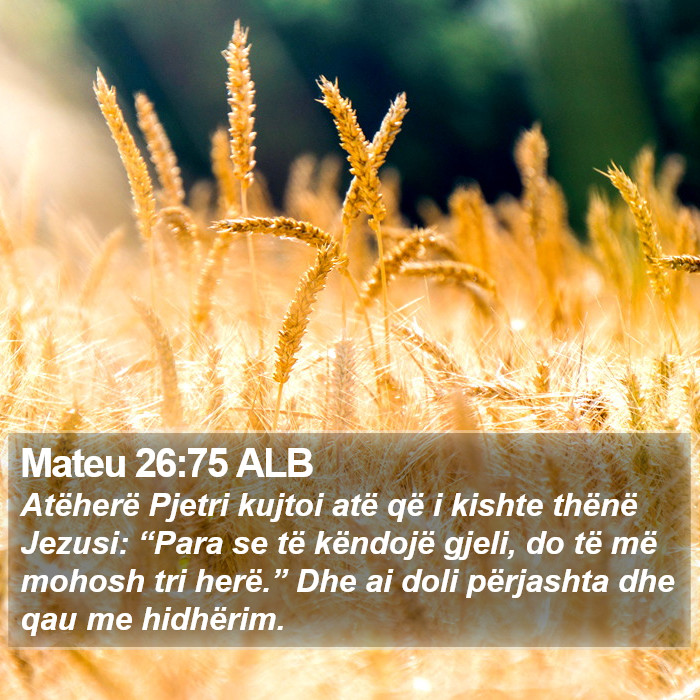 Mateu 26:75 ALB Bible Study