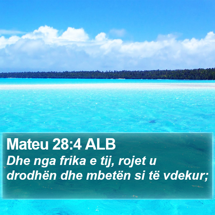 Mateu 28:4 ALB Bible Study