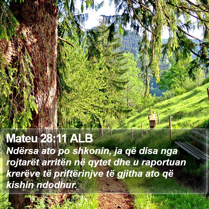 Mateu 28:11 ALB Bible Study