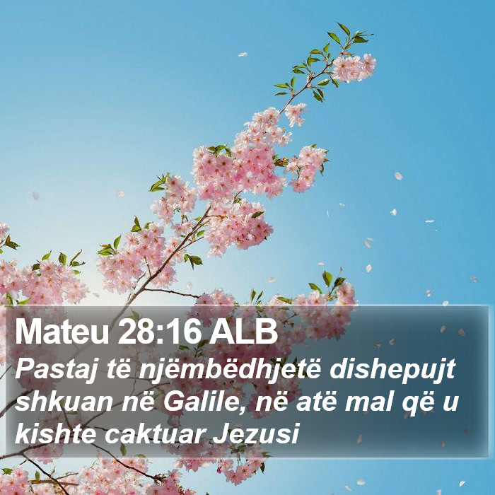 Mateu 28:16 ALB Bible Study