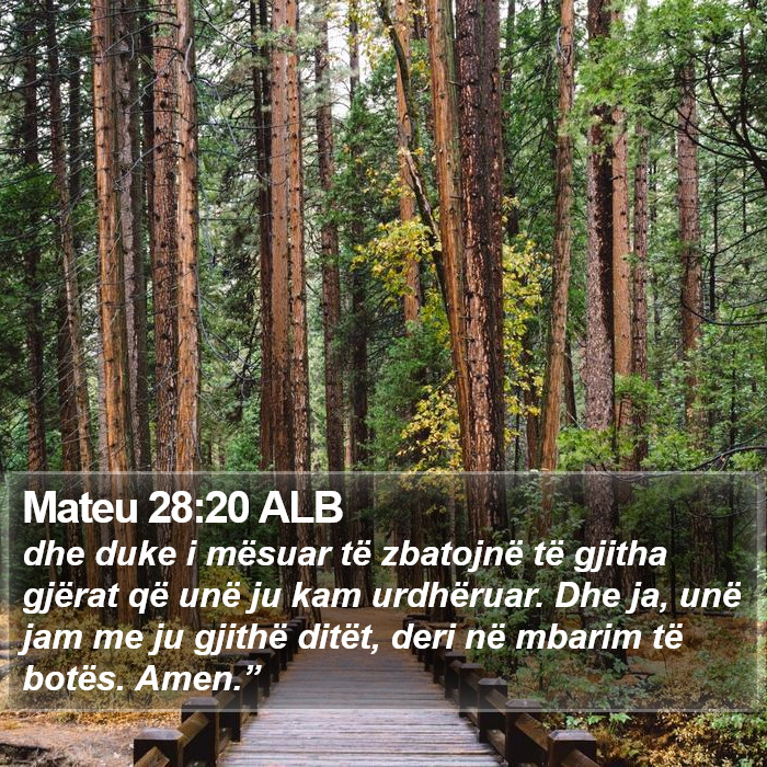 Mateu 28:20 ALB Bible Study