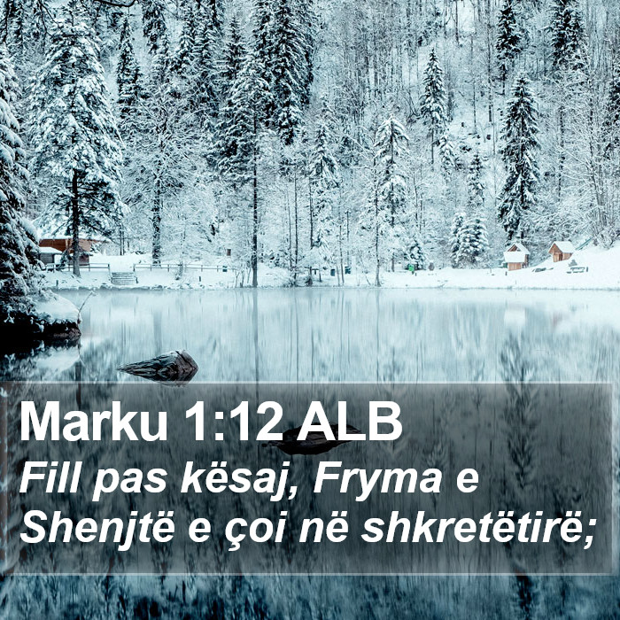 Marku 1:12 ALB Bible Study