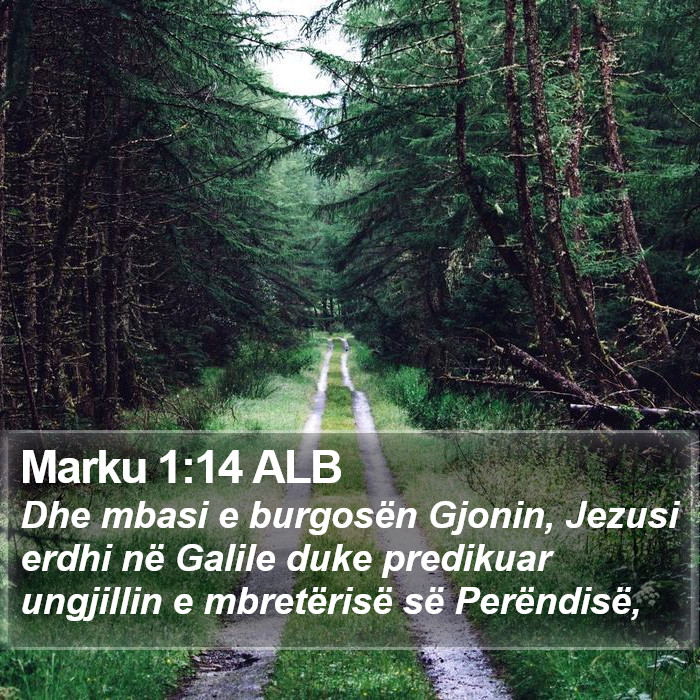 Marku 1:14 ALB Bible Study