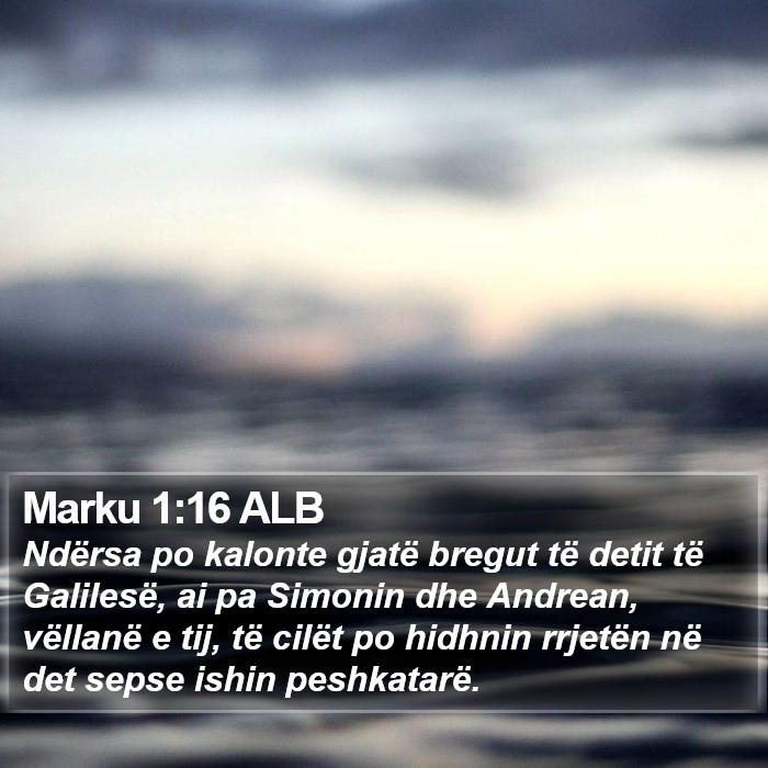 Marku 1:16 ALB Bible Study