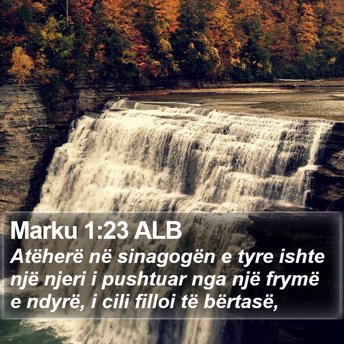 Marku 1:23 ALB Bible Study