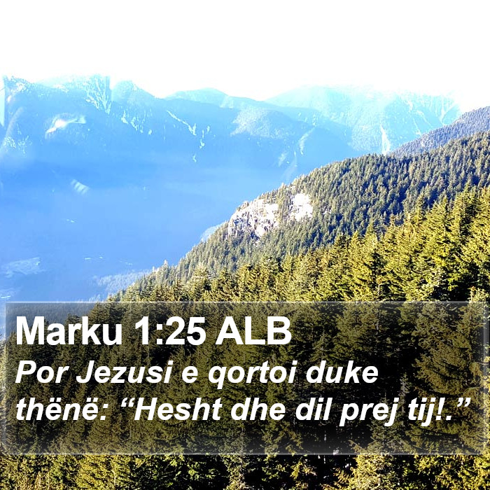 Marku 1:25 ALB Bible Study