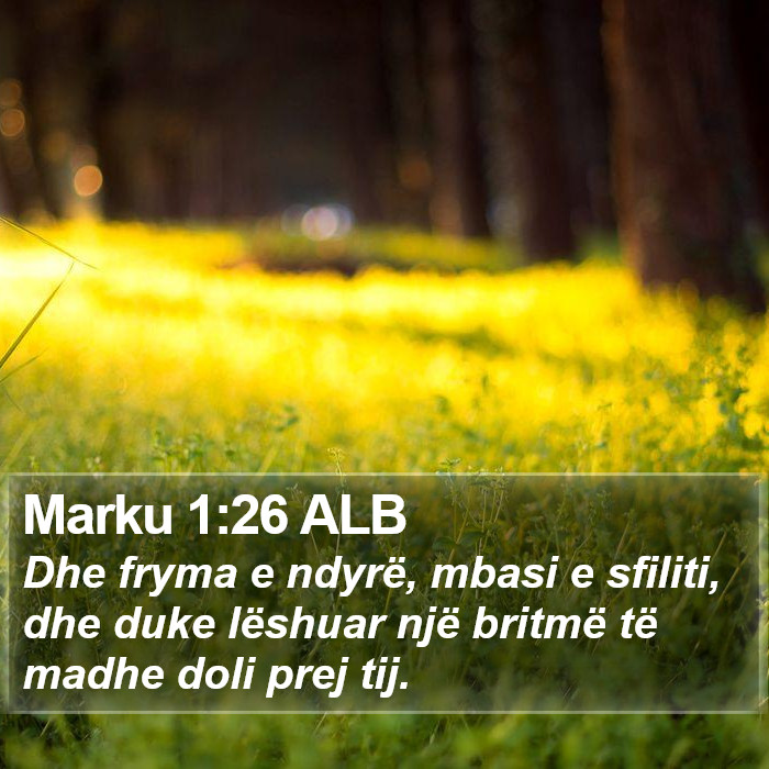 Marku 1:26 ALB Bible Study