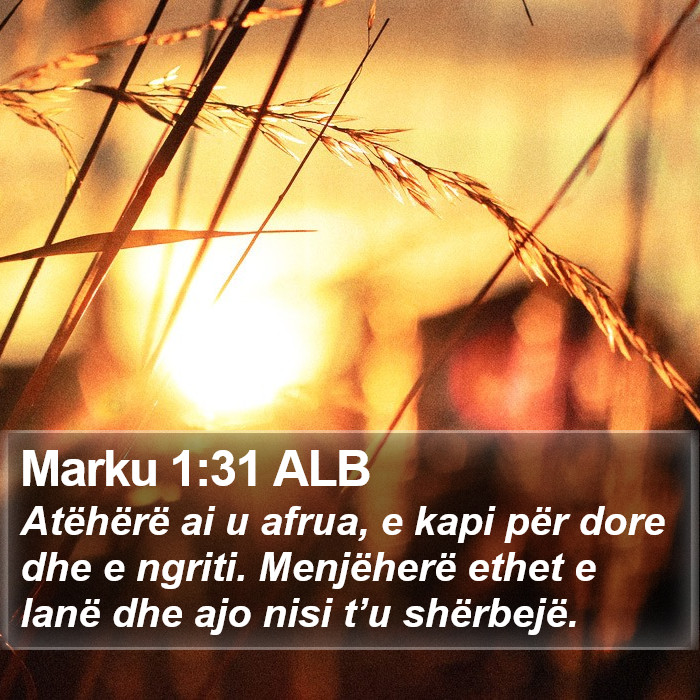 Marku 1:31 ALB Bible Study